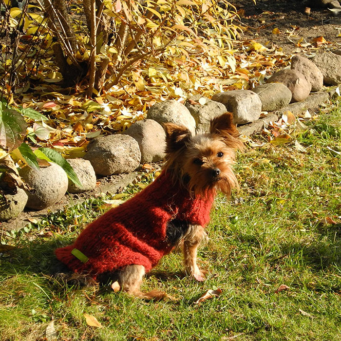 Hundepullover aus Mohair + Synthetik