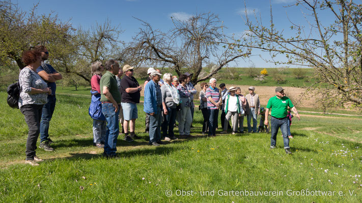 Frühlingserwachen auf der Streuobstwiese 09.04.2017