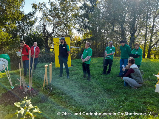 Pflanzung des Jahrgangsbaums 10.10.2021