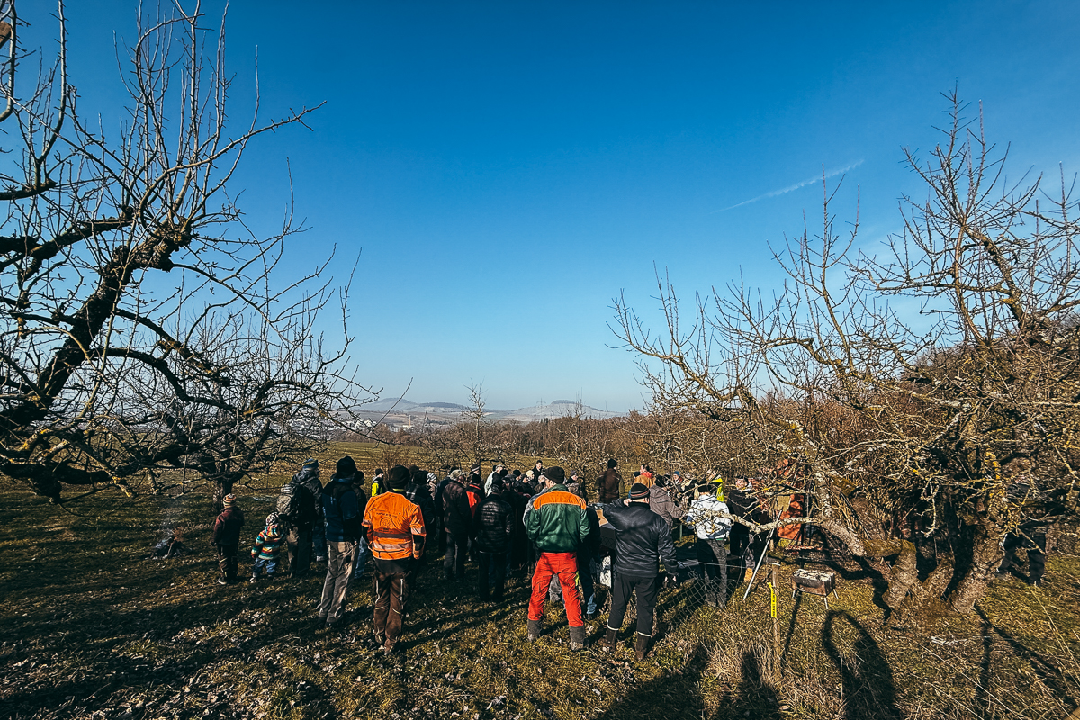 Winterschnittkurs 24.01.2026