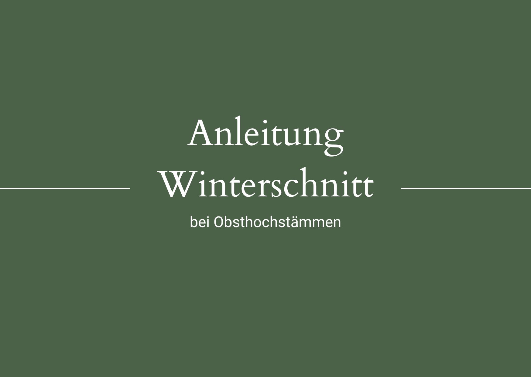 Winterschnitt bei Obsthochstämmen