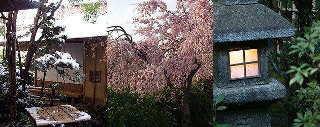 季節を感じる日本庭園