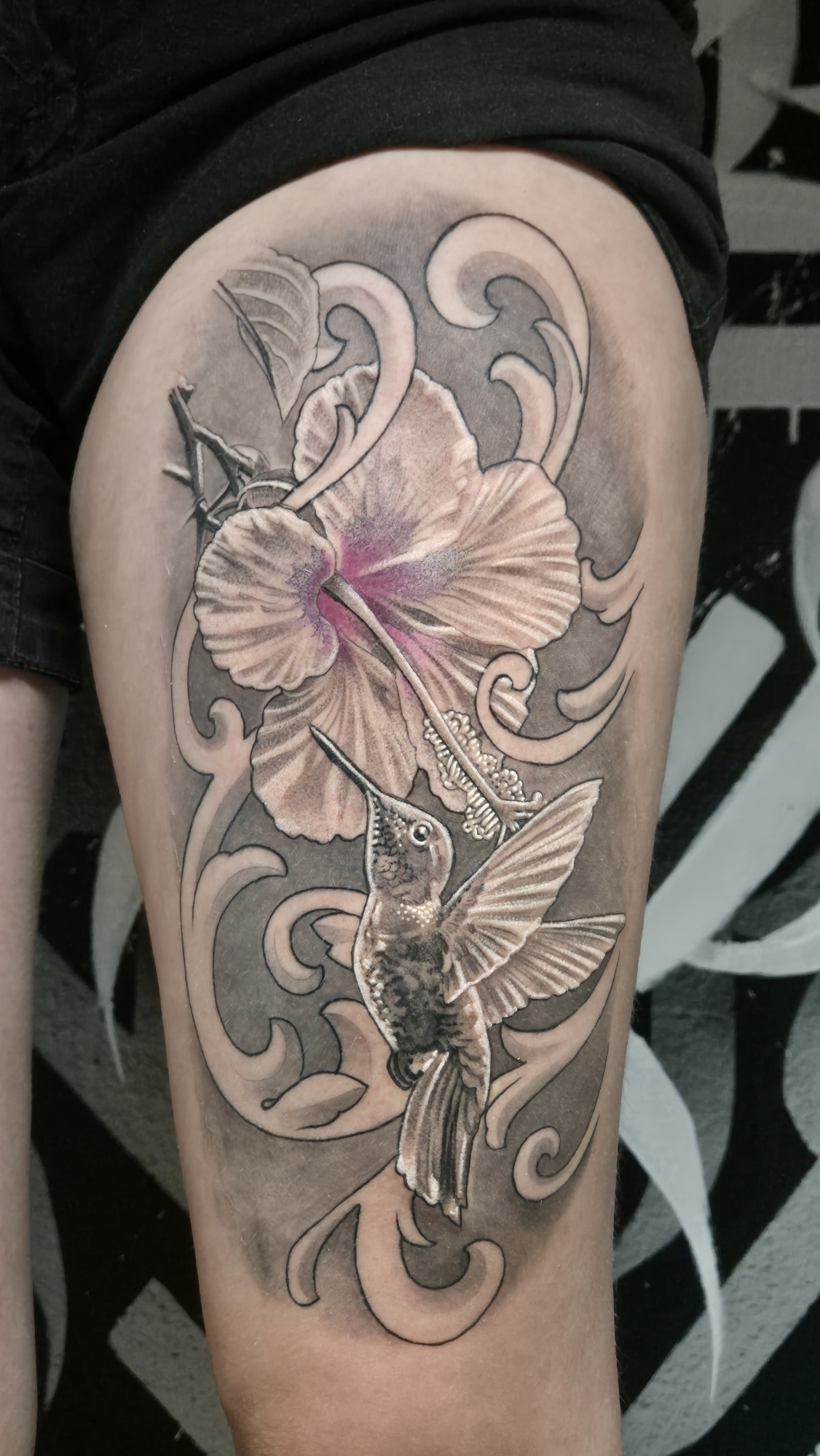 Kolibri 