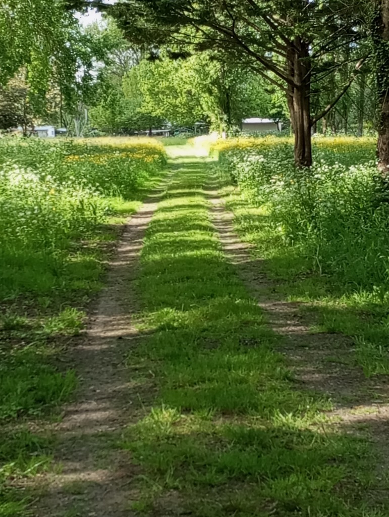 Chemin d'accès au départ du refuge