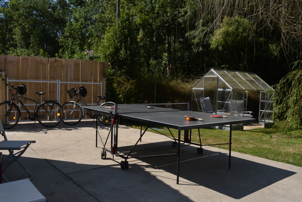 Table de ping pong