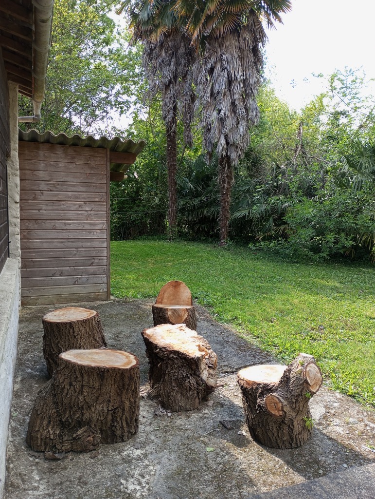 Saule pleureur recyclé..
