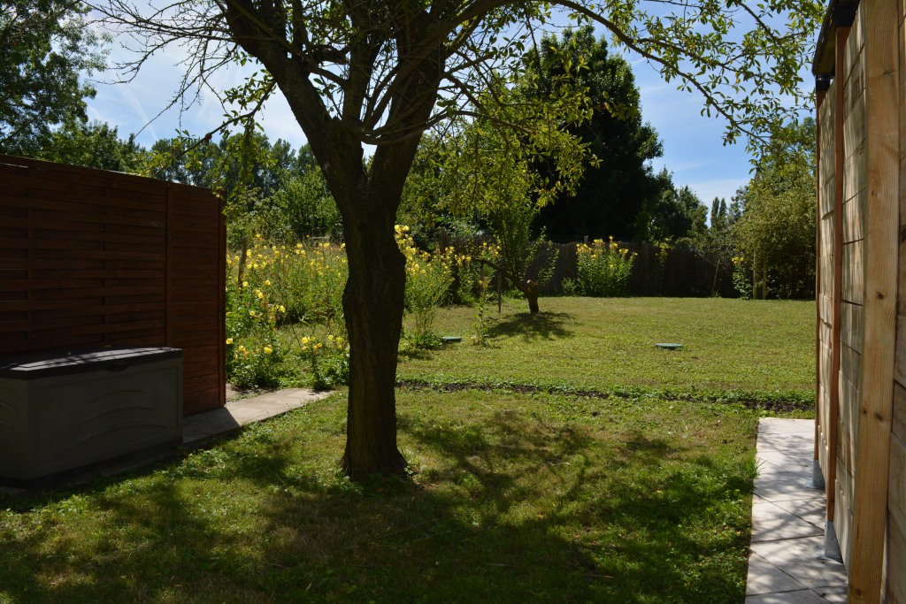 Jardin fleuri
