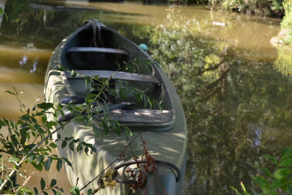 A la découverte du marais poitevin
