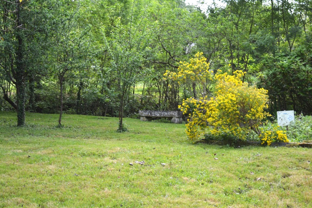 Le refuge gite au bord de l'eau Coulon