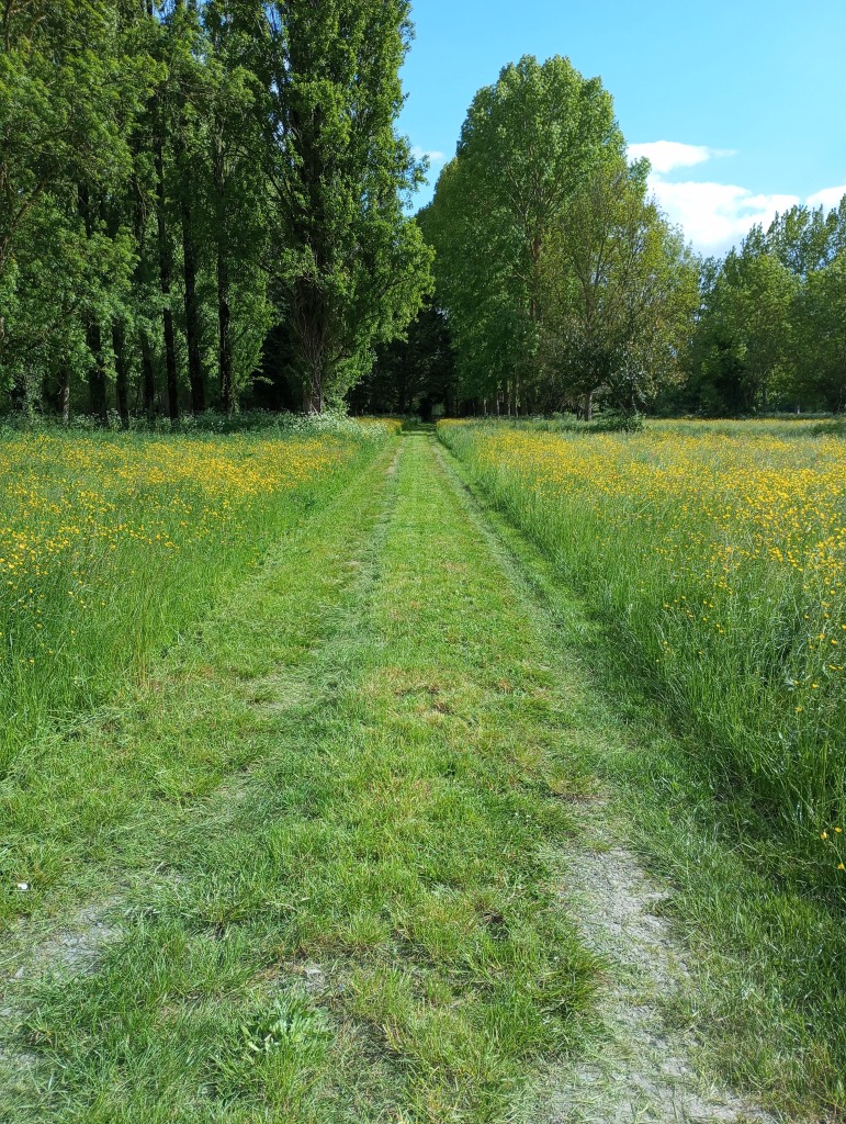 Chemin d'accès du refuge