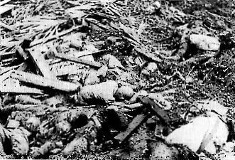 レイテ戦、オルモック防衛で犠牲となった日本人
