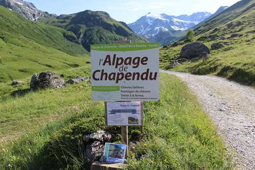 Alpage de Chapendu