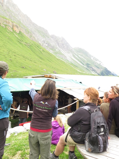 visite à l' alpage