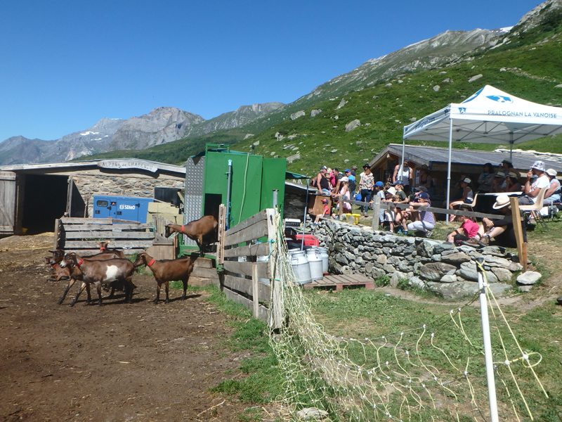 l'heure de la traite