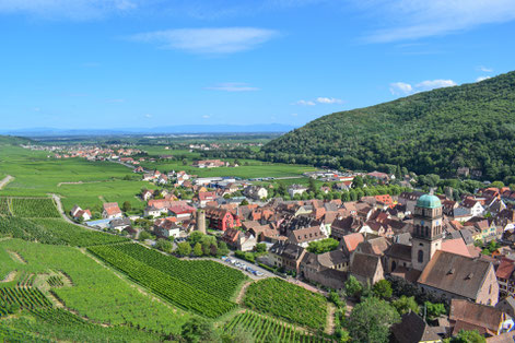 Malerisch: Kaysersberg, eingebettet in die Weinberge