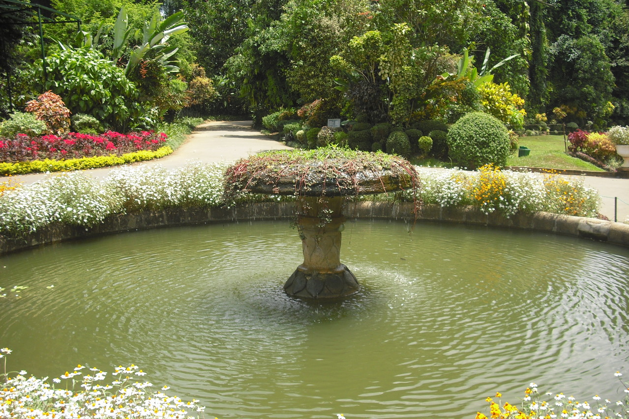 Royal Botanischer Garten Peradeniya