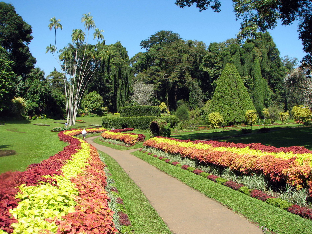 Royal Botanischer Garten Peradeniya