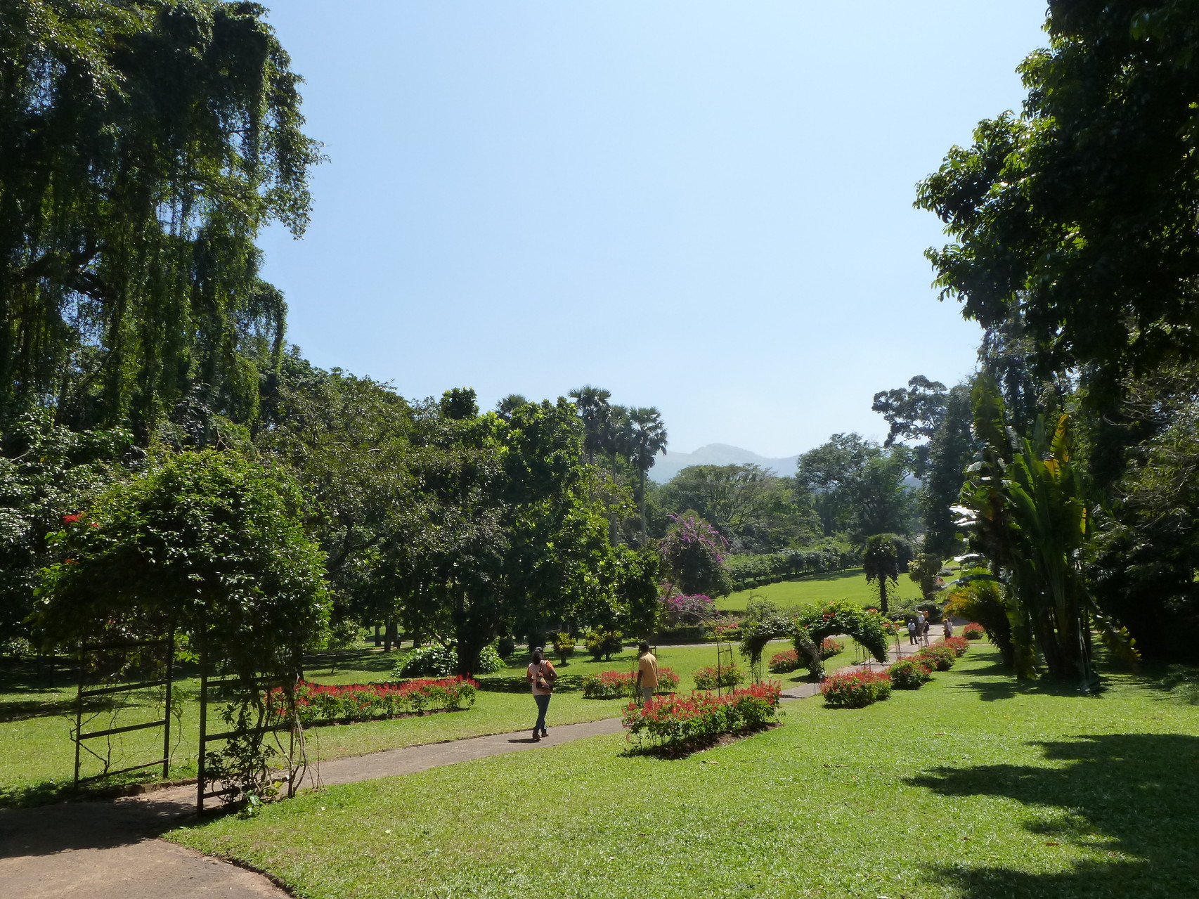 Königlicher botanischer Garten von Peradeniya
