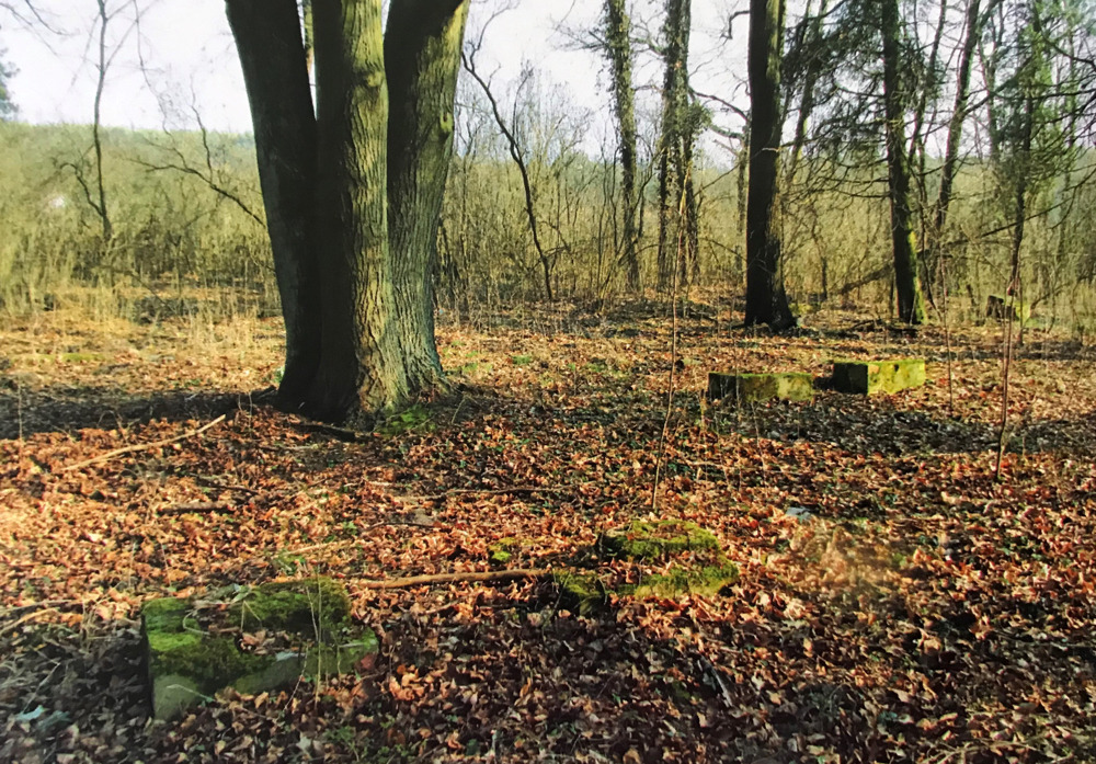 Wenige Überreste zeugen vom ehemaligen Waldfriedhof.