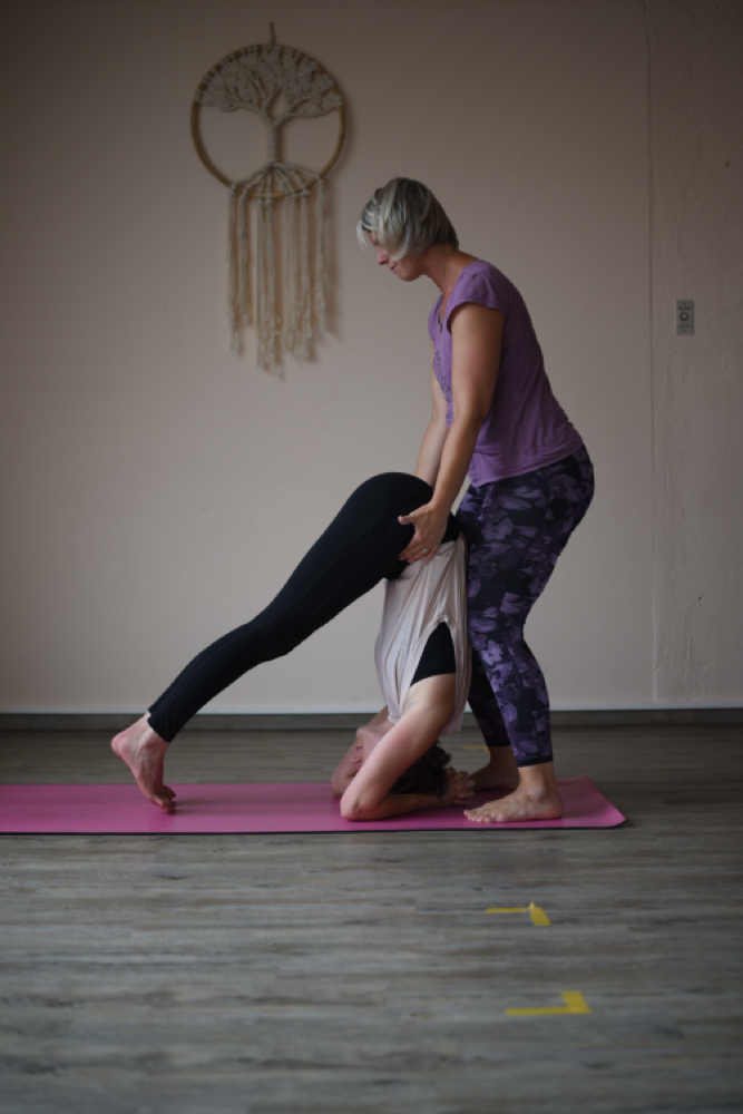 Halasana Hands on