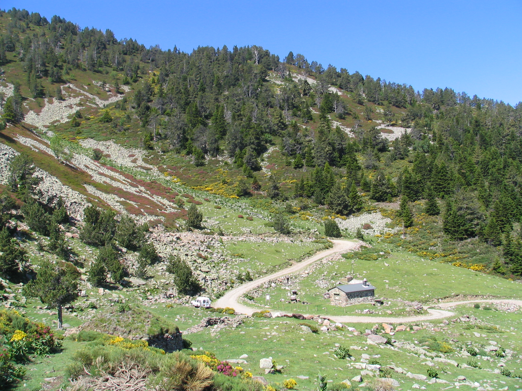 Ras des Cortalets