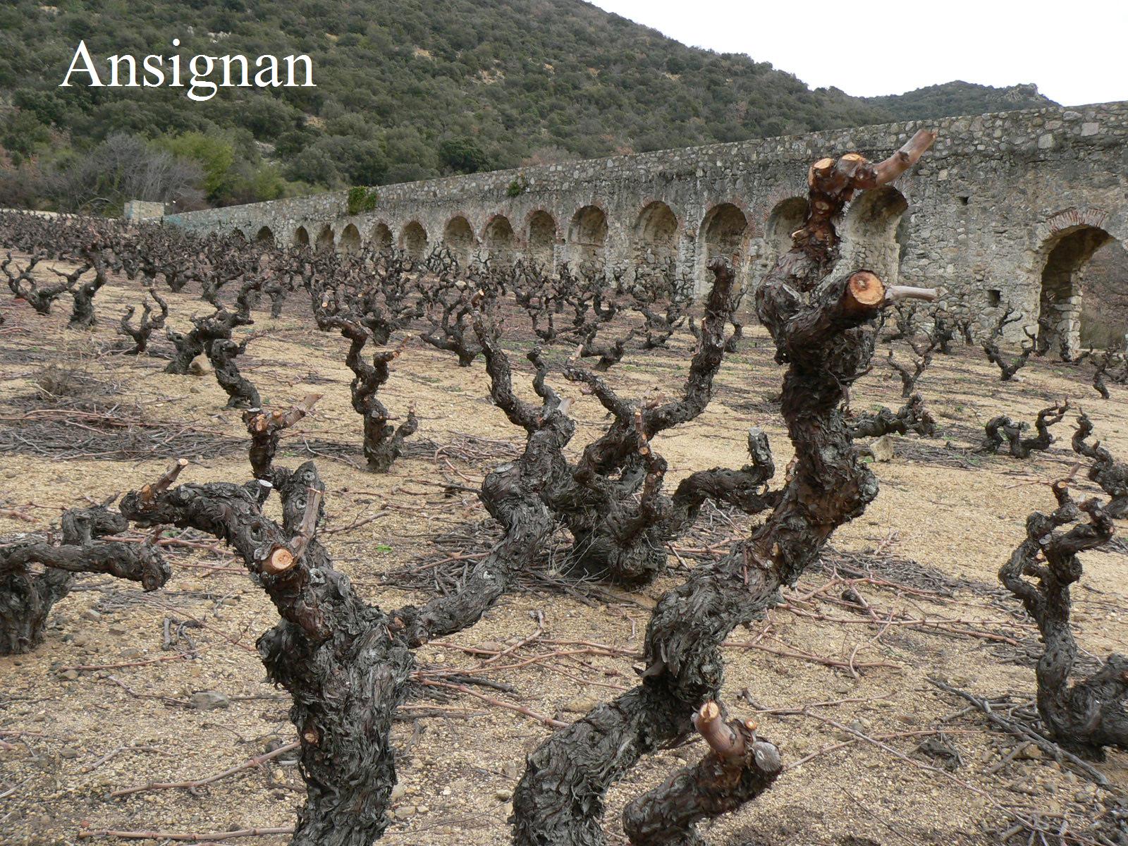 Aqueduc d'Ansignan