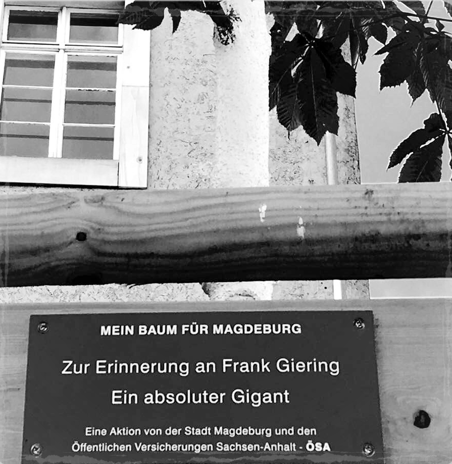 Lothar-Kreyssig-Straße