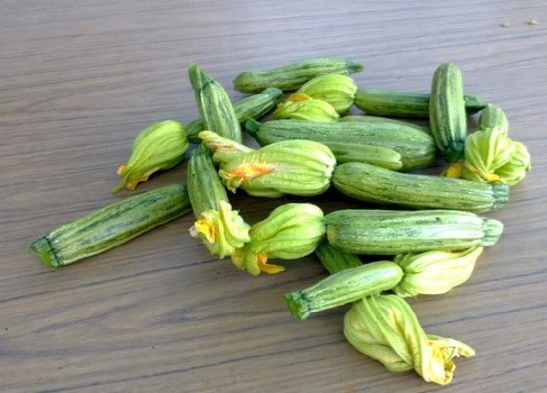 花付きのズッキーニです。花に詰め物をして揚げると美味しいです♪