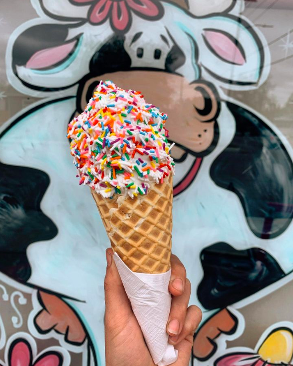 Gallery Swirls Ice Cream Medicine Hat