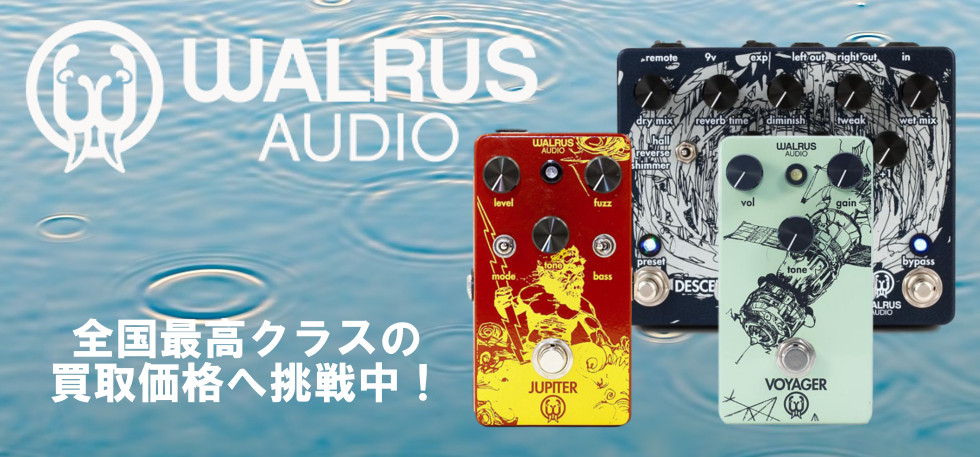 WALRUS AUDIO買取トップ