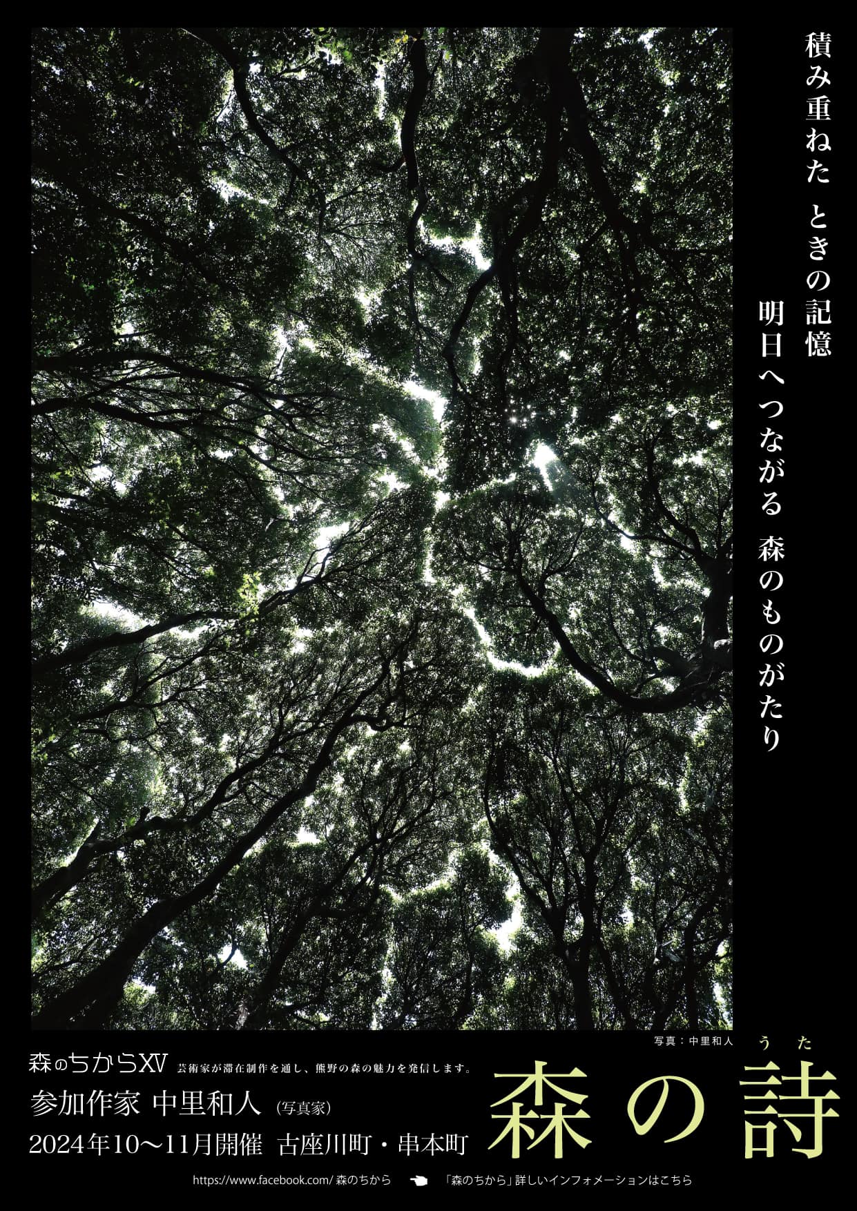 再生の森 2024-11-restoring-forrests-