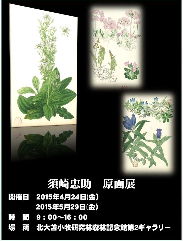 須崎忠助原画展を開催しました - 北海道大学 森林圏ステーション