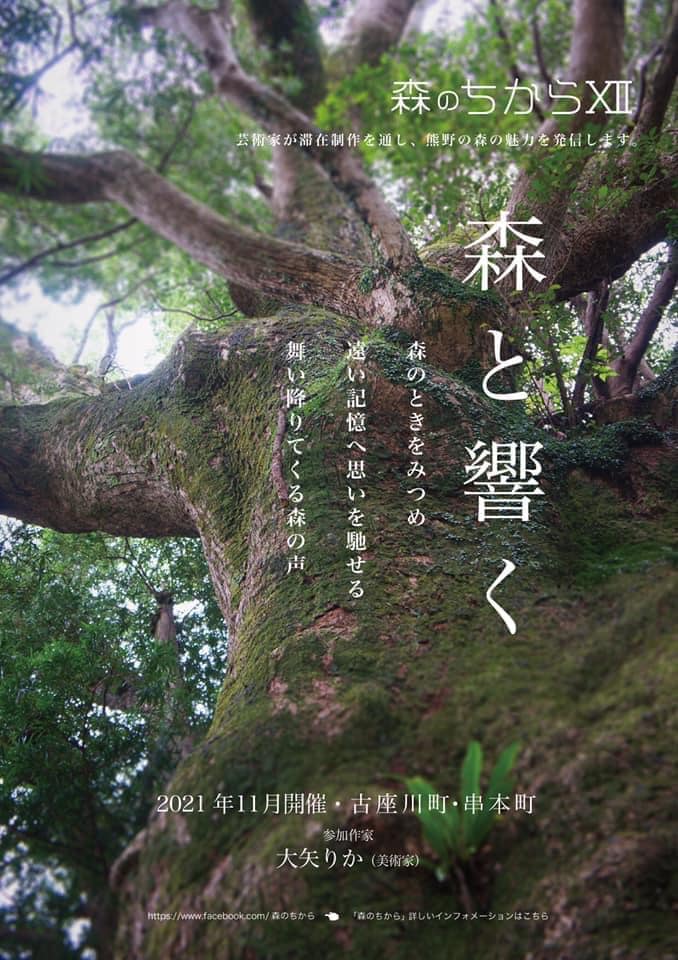 木と森のいのち―古代の森、森の生きもの、木と木からできるもの (知識の泉―Natural history (5)) Amazon.co.jp: 木と森のいのち: 古代の森、森の生きもの、木と木