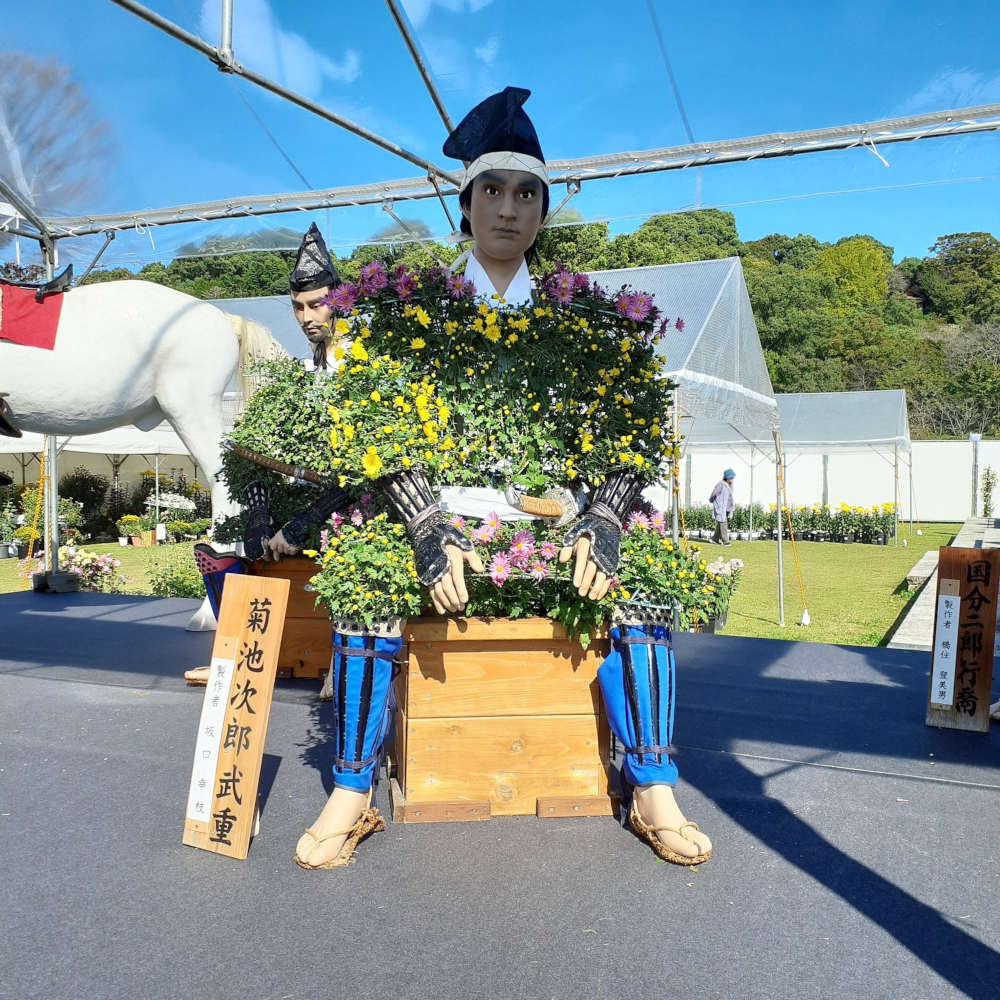 温泉と菊と人形