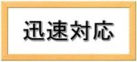 迅速対応