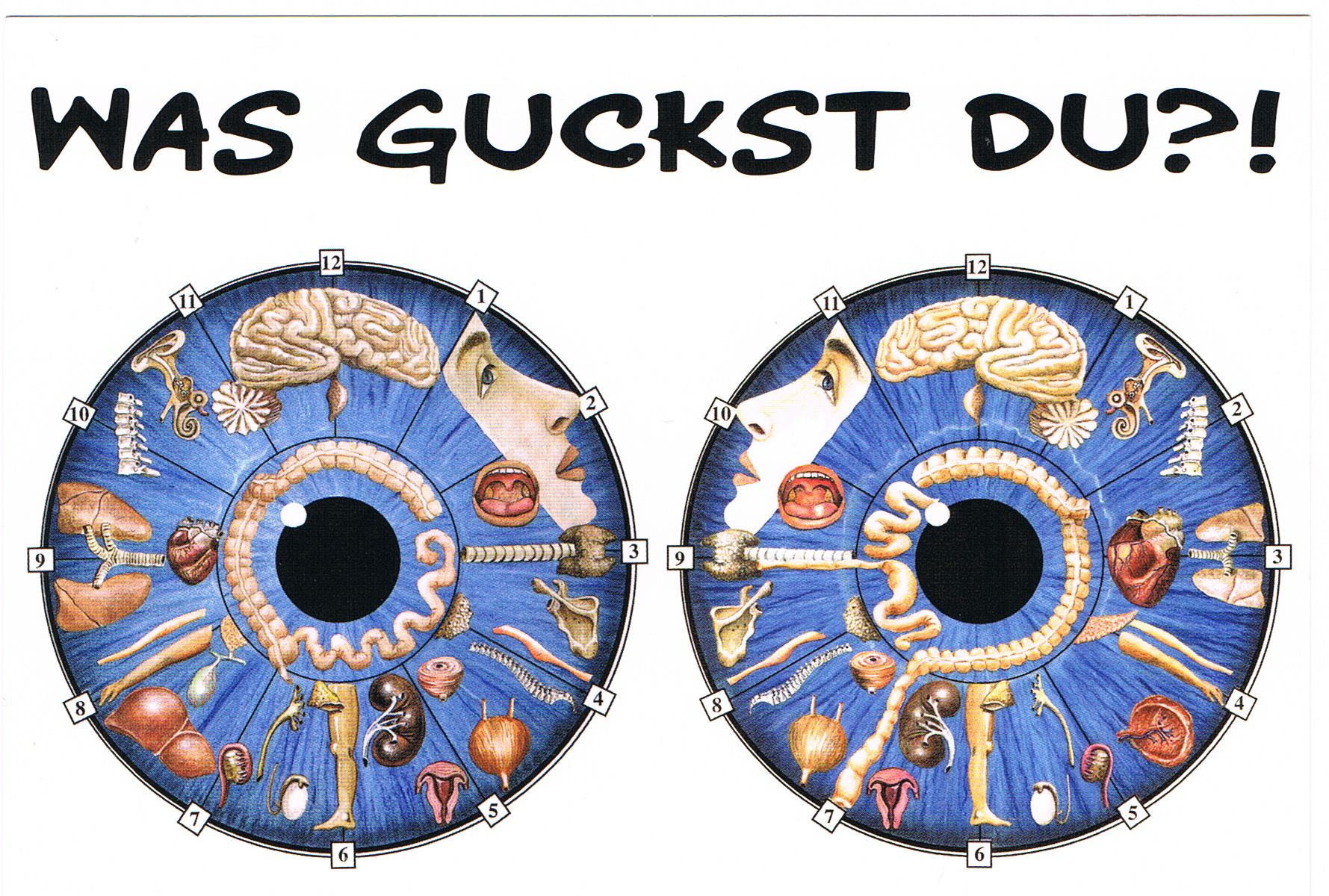 augendiagnose - heilpraktikerin-berit-kuns Webseite!