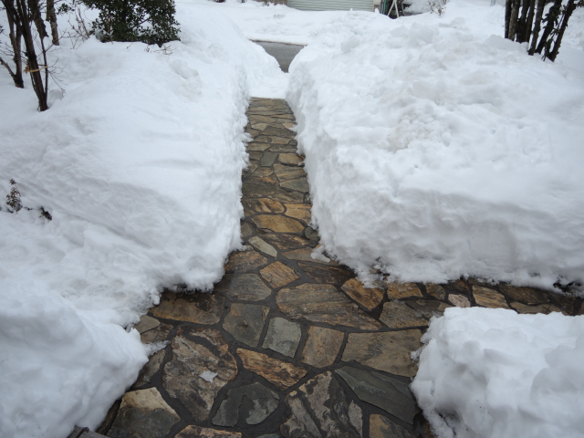 土曜日、がんばって玄関先の石畳が見えるまで除雪した。