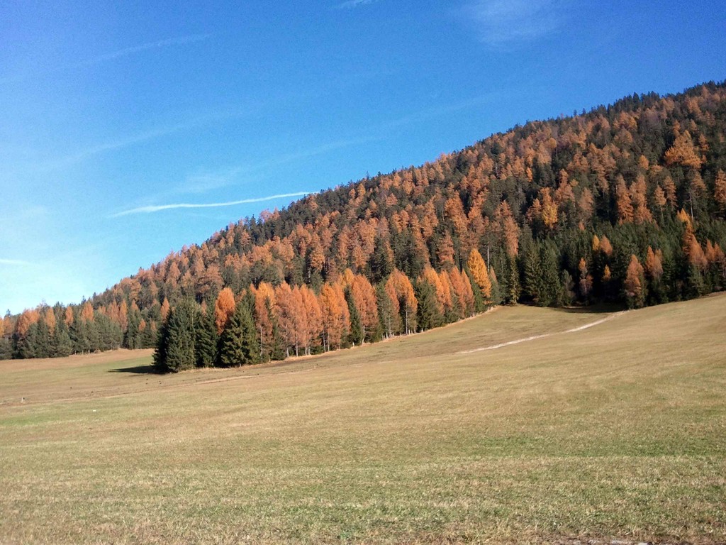 Der Herbst in seiner Farbenpracht