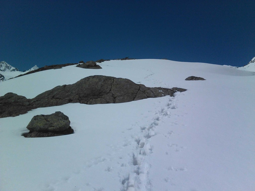 Auf auf zum Mutterbergsee - nicht geschafft - zu viel Schnee... 5. Juni 2010