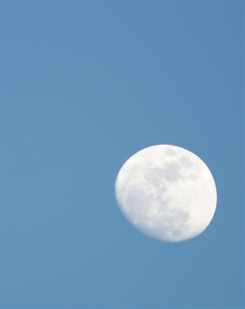 Mond im Blauen/ 23. 03. 2014