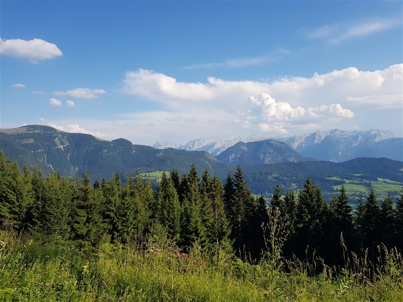 Auf den Weg zum Schlenken 