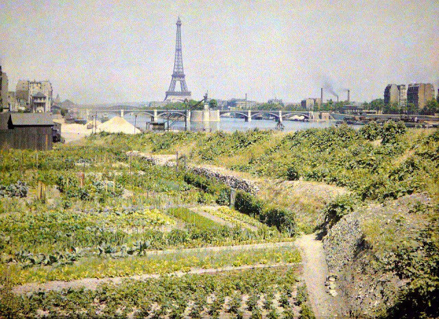 potagers, quai Louis Blériot, musée Albert Kahn