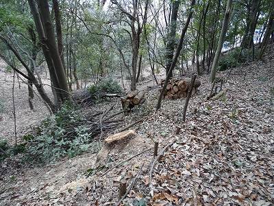 斜面にも積んで有り、危険なので積み替えてもらう。