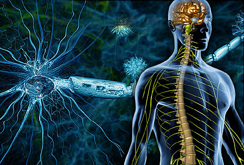 la disfunzione erettile nella sclerosi multipla