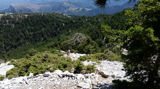 Der Weg auf den Berg