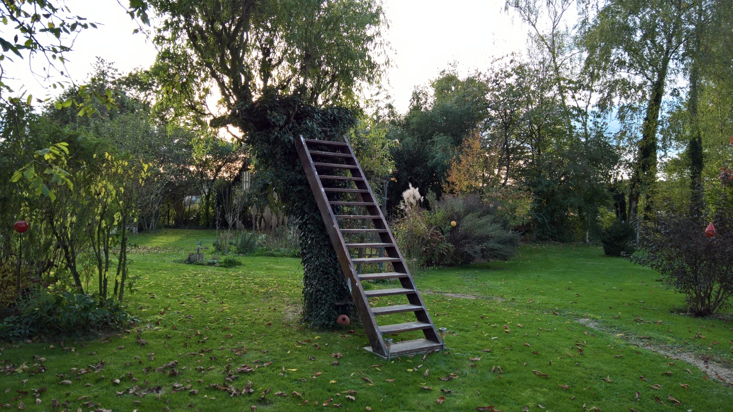 Die Eichentreppe steht nun endlich am Baumhaus