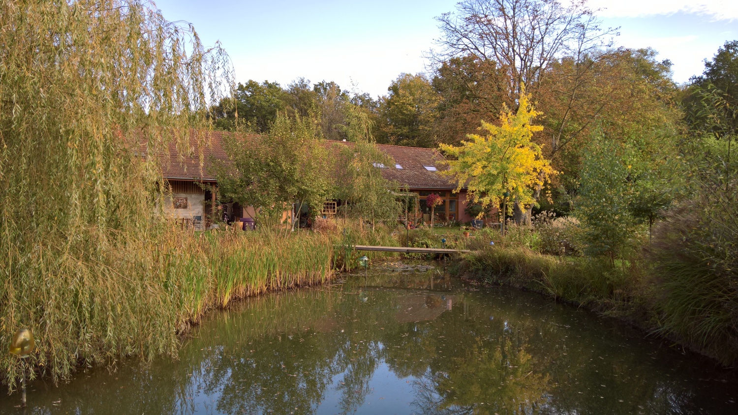 Blick über den Teich