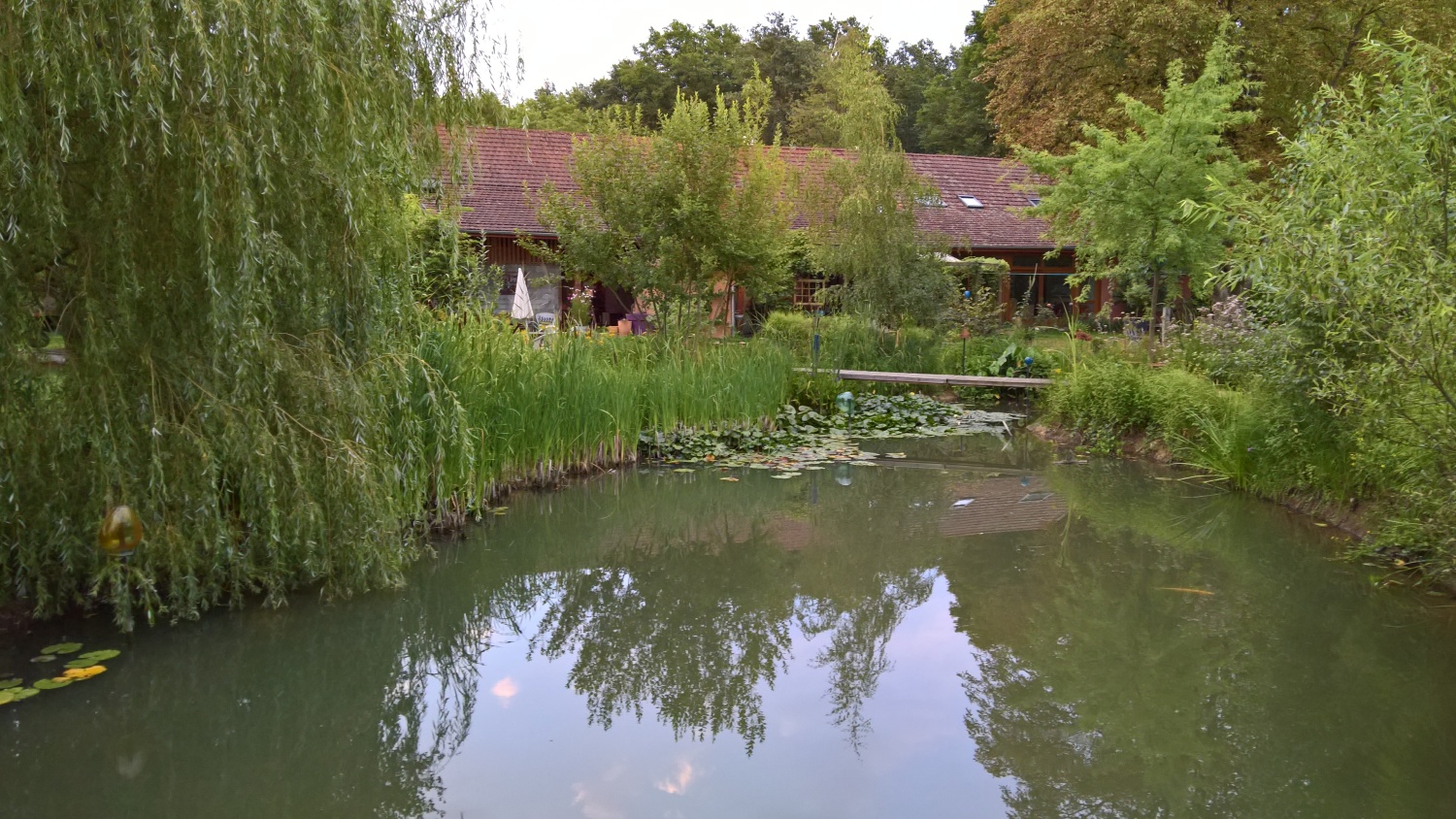 Der Schwimmteich, zwar trübe, aber super gute Qualität