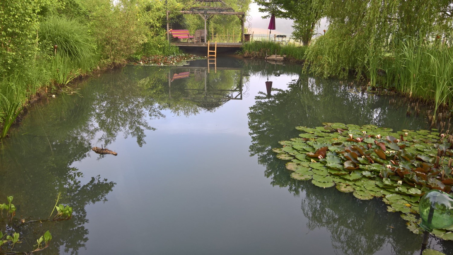 Der Schwimmteichbereich