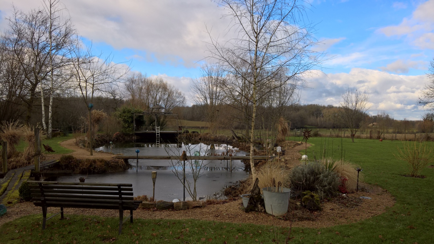 Januarstimmung über dem Teich